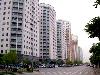 Dự án đối ứng: lối thoát cho nhà chung cư cũ